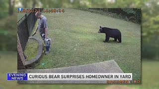 Watch: Bear creeps up behind Virginia man as he tends his backyard