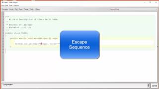 Intro CS: Java Escape Sequences