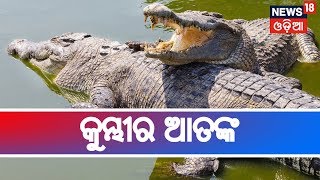 Kendrapara ରାଜନଗର ବ୍ରାହ୍ମଣୀ ନଦୀରେ କୁମ୍ଭୀର ଆତଙ୍କ,କୁମ୍ଭୀର ଆକ୍ରମଣରୁ ଅଳ୍ପକେ ବର୍ତ୍ତୀଲେ ଯୁବକ |