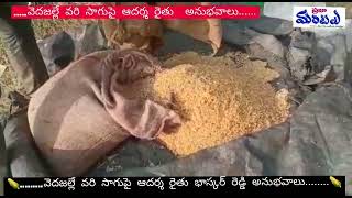 వెదజల్లుడు సాగు రైతులకు వరం #Farming by spreading seeds