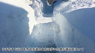 除雪の入った歩道の状況