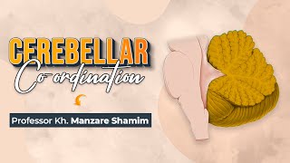 Co-ordination of the Cerebellum- সমন্বয় করা মানে কি?- বাংলায় বলেছেন অধ্যাপক মানজারে শামীম