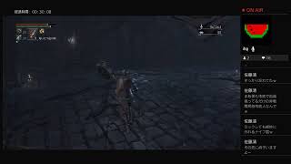 bloodborne 脳筋キャラ育成 ブラッドボーン