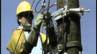 Equal Potential Grounding Connec