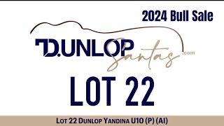 Lot 22 Dunlop Yandina U10 (P) (AI)