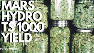 Yield MARS HYDRO TS 1000 | OCTOGROWER