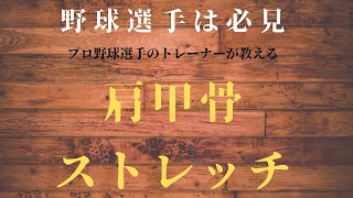 プロ野球選手のトレーナーが教える。肩甲骨のストレッチ。胸郭の柔軟性アップ。球速を上げるには胸郭の柔軟性が必要となります。野球のピッチャー、ゴルフのドライバー、バレーのアタックに必要となります。