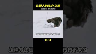 因紐特人被北極熊襲擊會怎么辦？冰封的湖面，又該怎么抓起海豹？ #新聞 #社會 #M2檔案 #刑事案件 #大案紀實