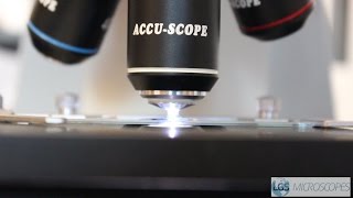 How To Use A Clinical Microscope
