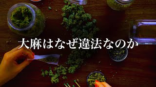 【日本の闇】大麻が違法化された歴史 - 思考停止社会