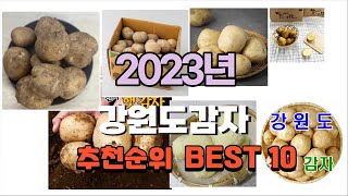 강원도감자 2023년 8월 인기템 꿀템 소개해요 추천순위 TOP10