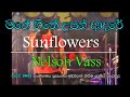 Mage Hithe Upan Adare Nelson Vass Sunflowers