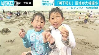 「潮干狩り」ピンチ？　ハマグリ減少でエリアが制限(18/04/30)