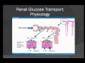 Endocrinology Pearls- Dr. Rami Almokayyad, 4/30/14