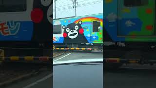 くまモンのラッピング2両編成 電車/Japanese popular character train #shorts