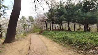 (산책/ Walk) 말죽거리 근린공원/ Maljuk Street Neighborhood Park [ 자연/Nature. 여행/Trip, 힐링/Healing치유/Heal ]