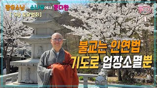 원오사 광우스님 5월 토요법문[광우스님의 소나무에서 못다한이야기] 23.05.07