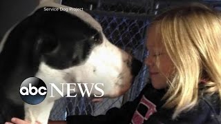 Young Girl's Special Bond With Her Service Dog George