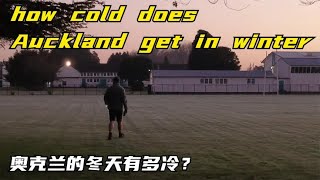 how cold does Auckland get in winter | 奥克兰的冬天有多冷？