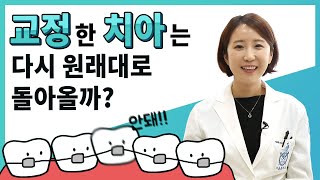 교정한 치아는 다시 돌아온다? [성남서울플러스치과]