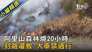 阿里山森林燒20小時 封路灌救 大車禁通行｜TVBS新聞