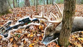 Barnett Crossbow Hunting 2024 BBD Public Land