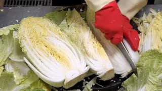 How to make  Kimchi (막김치) - Taiwan Kimchi Factory台灣黃金泡菜/益康/Taiwanese Street Food