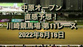 中原オープン 直感予想！ 川崎競馬場  第11レース 2022年6月16日