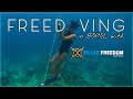 MY FIRST FREEDIVING EXPERIENCE IN BOHOL WITH BLUE FREEDOM APNEA