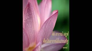 ลำล่อง\