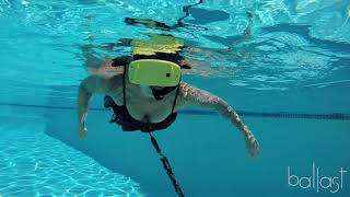 Aquatic VR Study Presentation