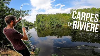 Les CARPES sont actives malgré la CANICULE - BAM! #16- Pêche de la carpe en rivière !