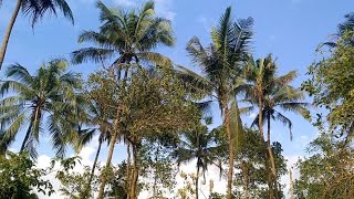 അപൂർവ കാഴ്ച 🌄🌄🌄