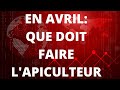 #apiculture EN AVRIL: Que Doit Faire L'APICULTEUR?