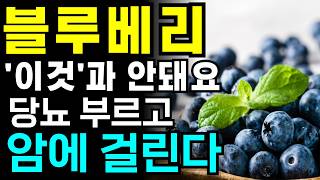 블루베리와 절대 같이 먹으면 안 되는 최악의 음식 3가지! (50대 필수 주의사항) 블루베리효능 건강팁 슈퍼푸드