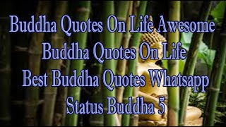 Buddha Quotes On Life  Awesome Buddha Quotes On Life  Best Buddha Quotes Whatsapp Status Buddha