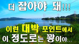 더 잡아야 돼!!!  이런 대박 포인트에서  이 정도로는 꽝이야...