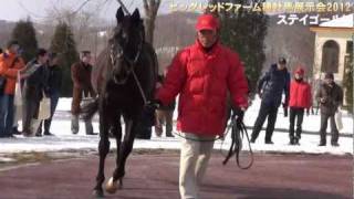 ステイゴールド - ビッグレッドファーム種牡馬展示会2012