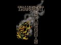 Transient Elements Demo 2024