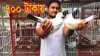 কালদম কবুতর কিনলাম Kaldom Pigeon