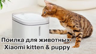 Забота о животных с новой поилкой Xiaomi Kitten \u0026 Puppy