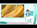 【 50】みなさんは分かるかな？茨城県クイズ！【いばキラvtuber 茨ひより】