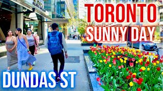 Toronto's Beautiful Summer at Dundas Street | 4K | HDR | Canada | 🇨🇦