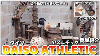 ダイソーの小動物用遊具でアスレチック作ってみたら楽しすぎたっ！！【フクロモモンガ】