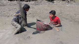 มาดูชาวบ้านลุยโคลนจับปลาจากการสูบสระ-Catching mud fish