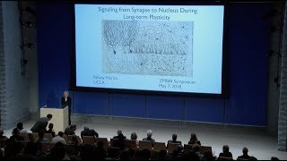 Mind Brain Behavior Symposium: Kelsey Martin