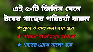 টবের গাছের পরিচর্যা করতে কোন ৫-টি জিনিস মানতে হবে ? 5 tricks for plant care