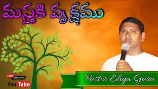 మస్తకి వృక్షము...|| SEEYONU RARAJU MINISTRIES || KARLAPALEM