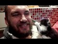 15 Minutes of Kittens  CUTEST Kitten Videos 😍