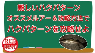 ハクパターン攻略実釣編～オススメルアーを駆使してハクを攻略せよ～